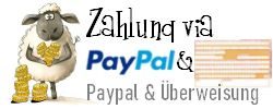 Münzen, ein Sepalogo, ein Überweisungsschein, eine Kreditkarte und ein Paypal-Logo
